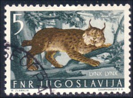 954 Yougoslavie Lynx (YUG-252) - Big Cats (cats Of Prey)