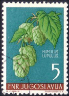 954 Yougoslavie Hops Houblon (YUG-233) - Beers