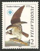 954 Yougoslavie Osprey Faucon Falcon Falkon MNH ** Neuf SC (YUG-197) - Arends & Roofvogels