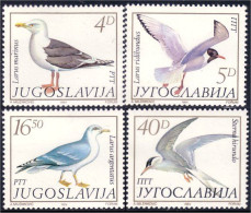 954 Yougoslavie Birds Oiseaux MNH ** Neuf SC (YUG-69a) - Nuovi