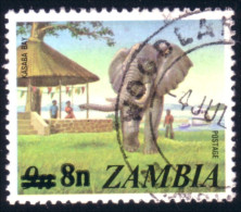 958 Zambia Elephant Elephants Elefante Elefant Olifant (ZAM-60) - Olifanten