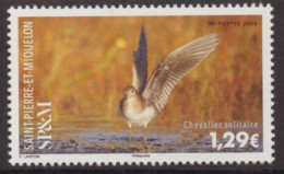 St Pierre Et Miquelon 2024 - Oiseaux, Le Chevalier Solitaire - 1 Val Neuf // Mnh - Ungebraucht