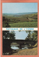 CHAMPS SUR YONNE - YONNE - VUE GENERALE - PETIT PONT - EDITIONS DE L'ORANGERIE VERSAILLES - NEUVE - Champs Sur Yonne
