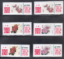 China 2024 The Flower Peach Blossom-camellia-peony ATM Stamps Label C 6v - Ungebraucht