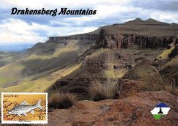 LESOTHO Lessouto Montagne DrakensbergUNESCO  Carte Vierge Non Circulé (Scans R/V) N° 77 \MP7102 - Lesotho