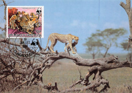 BURKINA FASO Ex Haute-Volta CHEETAH GUEPARDO Guepard OUAGADOUGOU Premier Jour WWF Non Circulé (2 Scans) N°62 \MP7111 - Burkina Faso