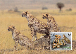 Burkina Faso Haute-Volta 1984 WWF Panthère Leopard Guépard Carte Premier Jour 35 Francs (Scan R/V) N° 68 \MP7123 - Burkina Faso