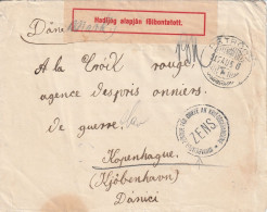 Hongrie Lettre Prisonnier De Guerre Censurée Pour Le Danemark 1916 - Lettres & Documents