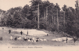 BRIIS SOUS FORGES(SANATORIUM DE BLIGNY) CHEVRE - Briis-sous-Forges