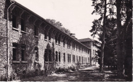 BRIIS SOUS FORGES(SANATORIUM DE BLIGNY) DESPEAUX - Briis-sous-Forges