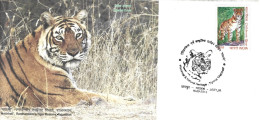 INDE. N°2356 De 2011 Sur Enveloppe Commémorative De 2013. Tigre. - Big Cats (cats Of Prey)