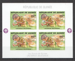 B0430 Imperf 2006 Guinea Mushrooms Scouting Boy Scouts Flora 1Kb Mnh - Funghi