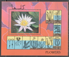 B0547 1997 Afghanistan Flora Flowers 1Bl Mnh - Otros & Sin Clasificación