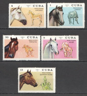 B1494 1972 Fauna Farm Animals Horses 1Set Mnh - Other & Unclassified