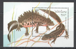 Wb196 1994 Laos Newts Fauna Marine Life Reptiles Bl Mnh - Marine Life