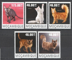 Wb289 2014 Mozambique Cats Domestic Animals Fauna #7615-19 Set Mnh - Hauskatzen