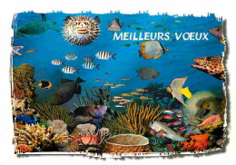 Antilles - Meilleurs Voeux De Bonne Année - Poissons - CPM - Voir Scans Recto-Verso - Autres & Non Classés