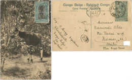 Belgian Congo Belge - Okapi PSC C15 + C15 Elisabethville 15mar1923 To Italy - Postwaardestukken