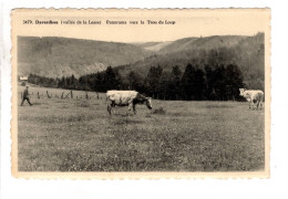 Daverdisse Panorama Vers Le Troup Du Loup - Daverdisse