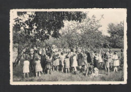 RAVELS-O.L.Vrouw Van De Kempen-openluchtschool Voor Zwakke Meisjes-Aangename Verposing In De Fruithof-NELS(5928) - Ravels