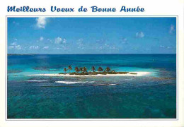 Antilles - Meilleurs Voeux De Bonne Année - CPM - Voir Scans Recto-Verso - Otros & Sin Clasificación