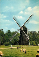 Moulin à Vent - CPM - Voir Scans Recto-Verso - Windmills