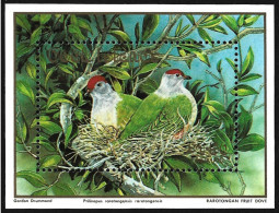 Cook Islands 1990 MNH Luxe Birds Oiseaux Vögel Song Bird Rarotonga Fauna Pajaros Stamps Block Mi.Nr. 200 - Sperlingsvögel & Singvögel