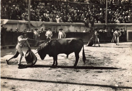 Nîmes * Les Arènes Romaines * Course De Taureaux * La Mise à Mort - Nîmes