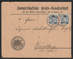 Brief Mit MiNr. 217 + 217 (MeF) Von D ULM (DONAU) * BAHNHOF 19 MAI 06 3-4 Nach Friedberg, *SAULGAU* 19 MAI 06 6-7N - Cartas & Documentos