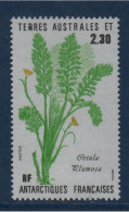 TAAF, **,  N° Yv 118, Mi 214, SG 216, Cotula Plumosa, - Autres & Non Classés