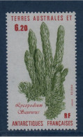 TAAF, **,  N° Yv 119, Mi 215, SG 217,  Lycopodium Saururus Ou Pins Moulus Ou De Cèdres Rampants, - Neufs