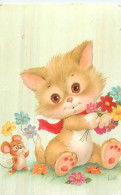 Chaton . Illustration JOAN - Collections, Lots & Series