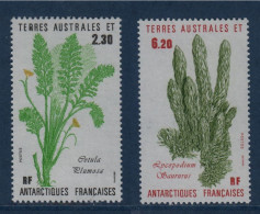 TAAF, **,  N° Yv 118, 119, Mi 214, 215, SG 216, 217, Cotula Pulmosa, Lycopodium Saururus Ou Pins Moulus - Nuovi