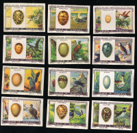 Nestlé - 101 - Oeufs D'oiseaux, Bird Eggs - Full Serie - Nestlé