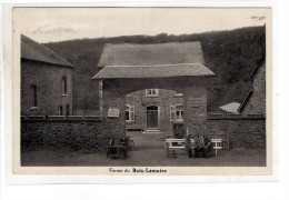 Vielsalm Ferme Du Bois Lemaire - Vielsalm