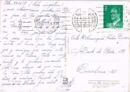 54678. Postal ELCHE (Alicante) 1978. Rodillo Especial Referendum CONSTITUCION. Vista Palmeras - Cartas & Documentos