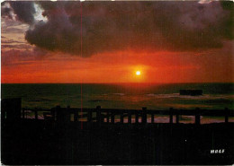 Coucher De Soleil - CPM - Voir Scans Recto-Verso - Contre La Lumière