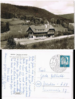 Ansichtskarte Ehlenbogen-Alpirsbach Gasthof Pension Zum Adler 1963 - Alpirsbach