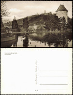 Ansichtskarte Weinheim (Bergstraße) Schlosspark 1960 - Weinheim