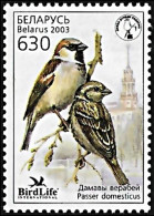 Belarus 2003, Bird Of The Year Birds - 1 V. MNH - Mussen