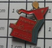 713B Pin's Pins / Beau Et Rare : SPORTS / CLUB PETANQUE LA MOSELLANE ST AVOLD - Petanca