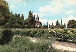 Castelanu D'auzan * Chemin Et église D'arech * Vignes Vignoble - Autres & Non Classés