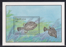 Grenade BF N°240 - Poissons -  Neuf ** Sans Charnière - TB - Grenada (1974-...)