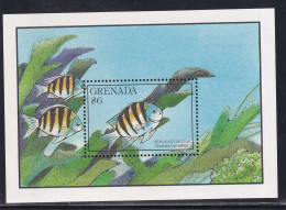 Grenade BF N°243 - Poisson -  Neuf ** Sans Charnière - TB - Grenada (1974-...)