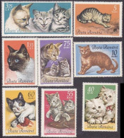 ROMANIA - 1965 -  CAT - CATS - GATTI -  8 V - MNH - - Hauskatzen