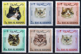 RAS AL KHAIMA - 1967 -  CAT - CATS - GATTI - 5 V - MNH - - Hauskatzen