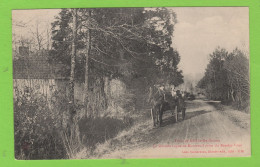 72 - SILLÉ-LE-GUILLAUME - FORÊT - GRANDE LIGNE DE MONTREUIL, PRISE DU RENDEZ-VOUS - Sille Le Guillaume