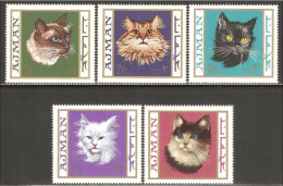 AJMAN - 1968 -  CAT - CATS - GATTI - 5 V - MNH - - Hauskatzen