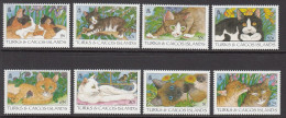 TURKS & CAICOS   - 1995 -  CAT - CATS - GATTI - 8 V - MNH - - Chats Domestiques