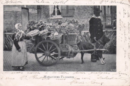 MARAICHERS FLAMANDS  ET ATTELAGE DE CHIEN S1 - Autres & Non Classés